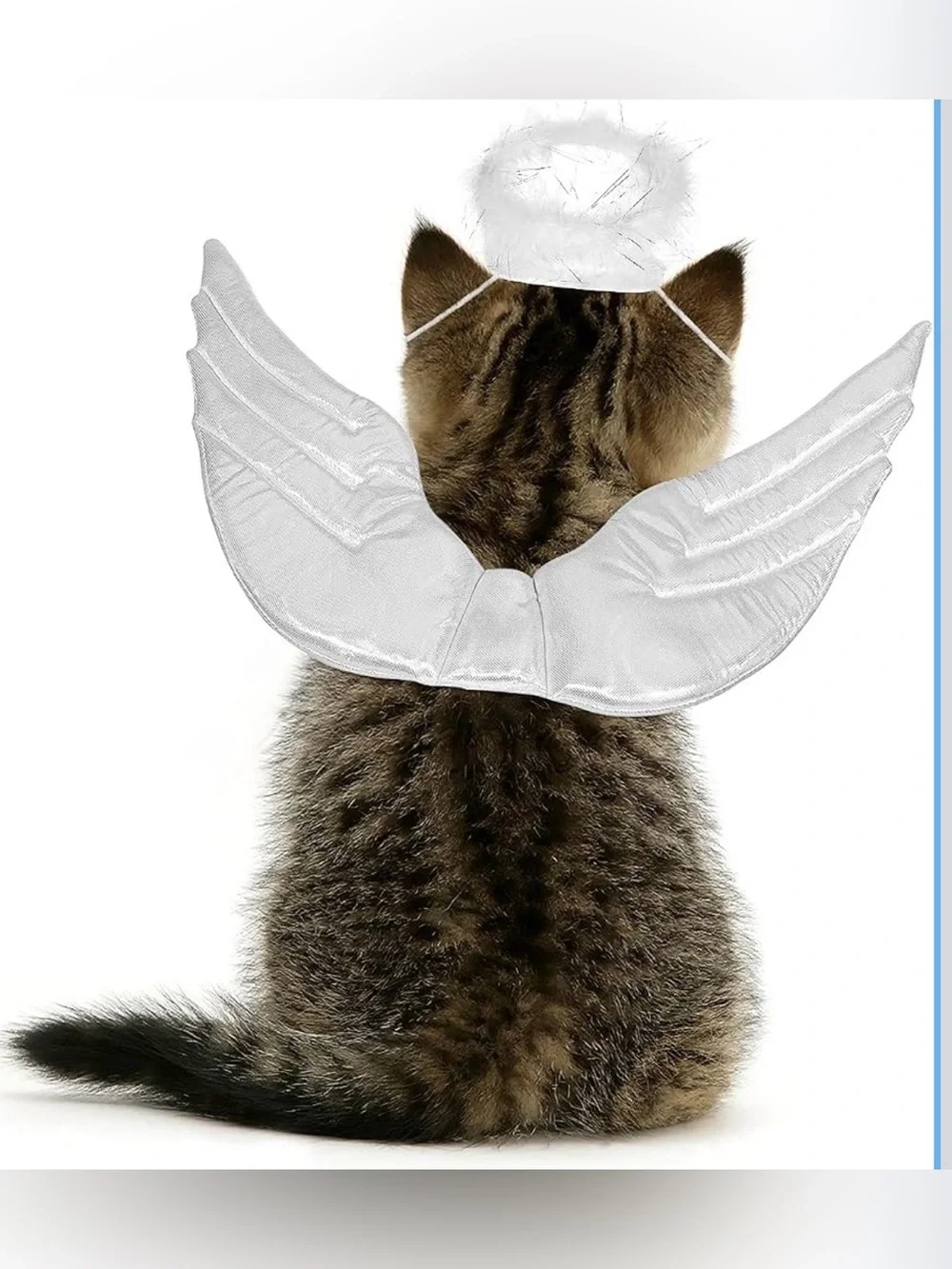 🐶🐰White Angel Wings and Halo Costume for Cats - Cute Pet Dress-Up